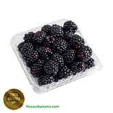 Zarzamora orgánica (170 g)